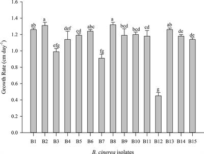 Phenotypic Variation of Botrytis cinerea Isolates Is Influenced by Spectral Light Quality